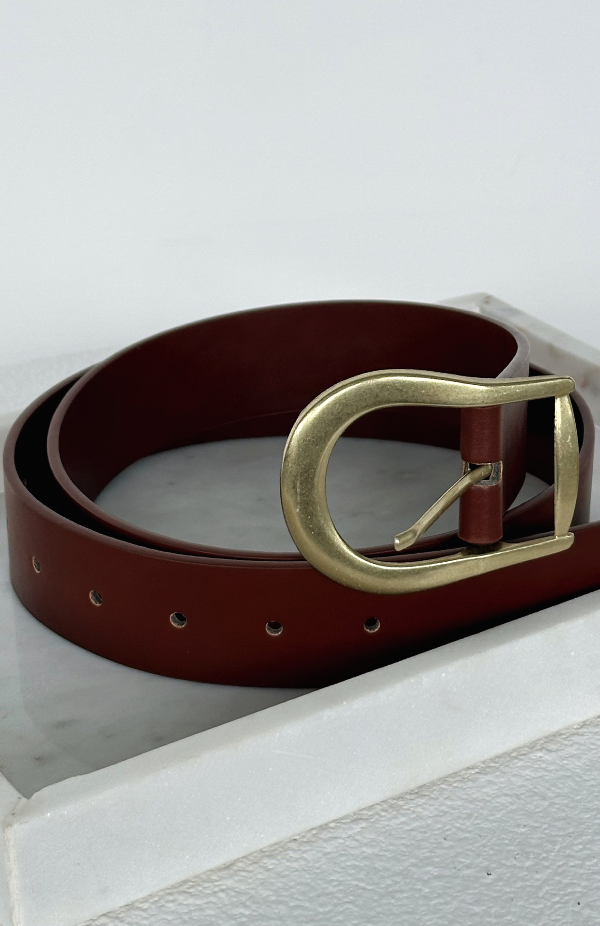 Austin Belt Brown/Gold - Image 3