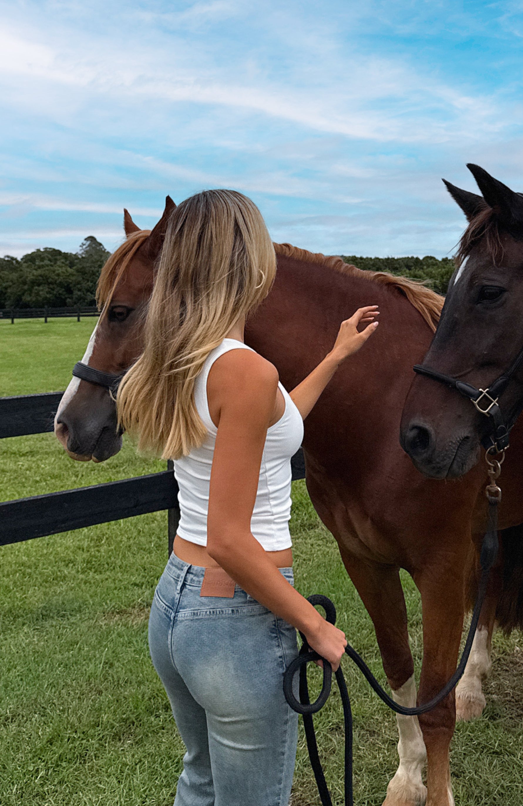 Original Trendsetter Low Rise Flare Jeans Brown Blue - Image 6