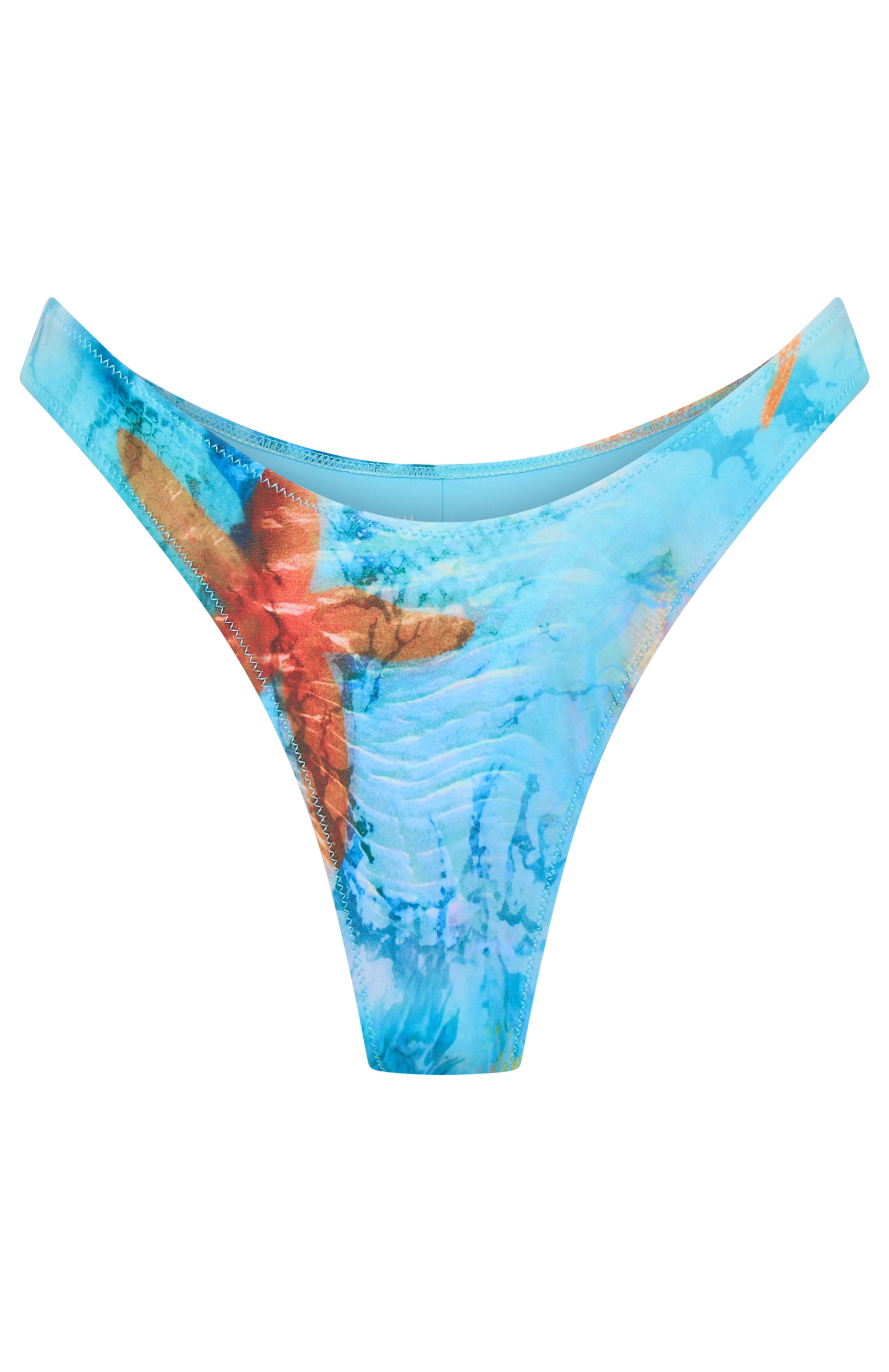 Belmont Bottoms Coastal Treasure - Image 6