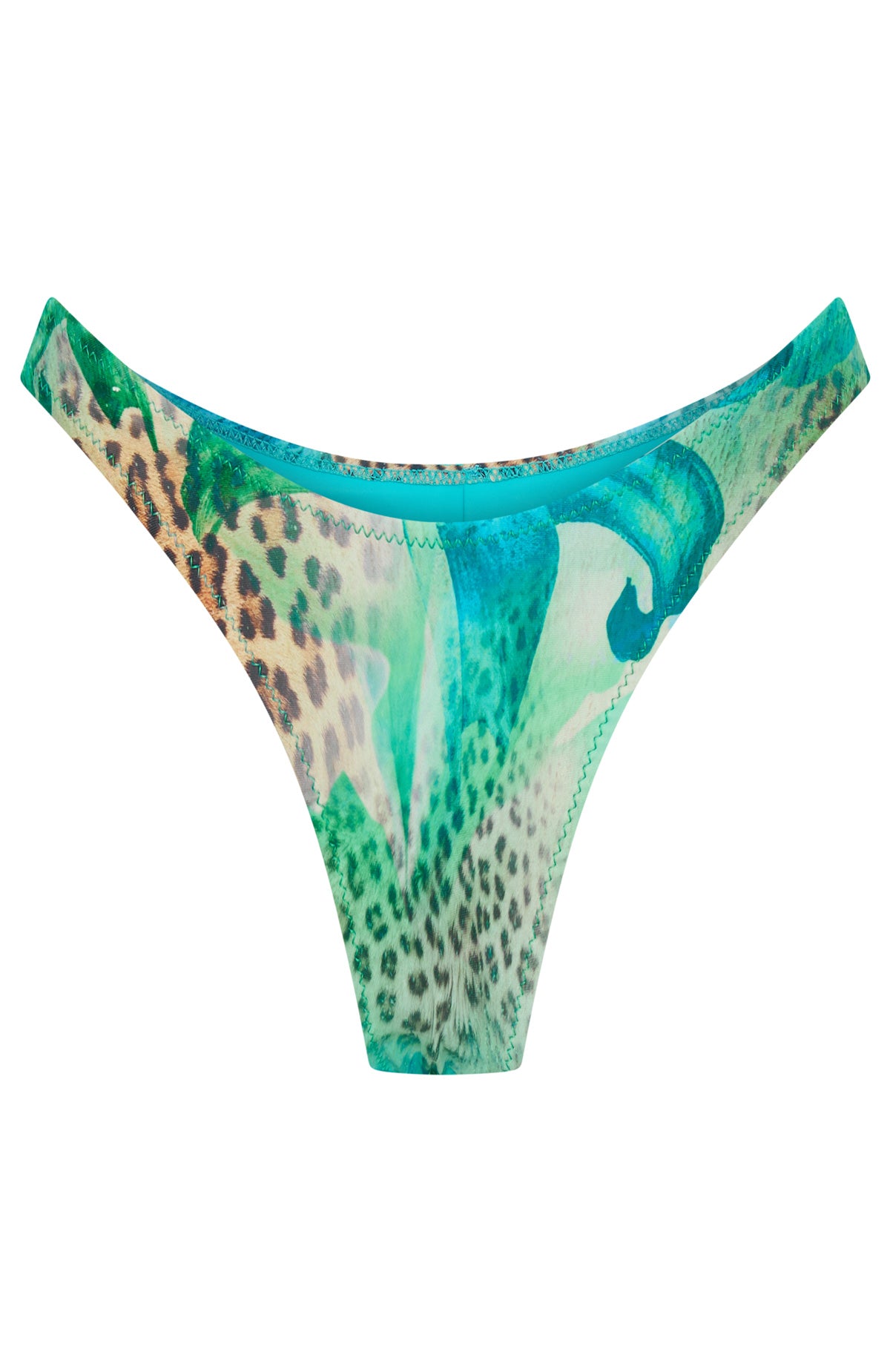 Belmont Bottoms Feline Paradise - Image 7